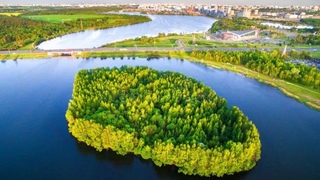 продать волосы в любом городе фото