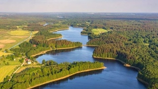 купим волосы в Вашем городе фото